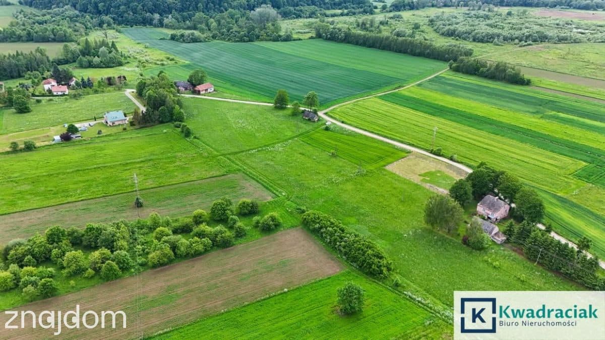 Szebnie – duża działka z WZ na dom jednorodzinny - zdjęcie 3