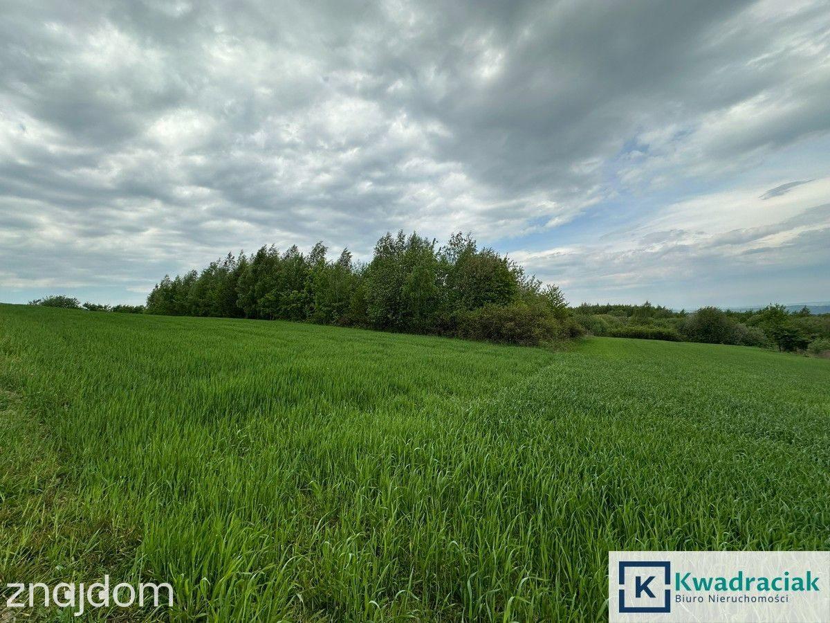 Działki rolne na sprzedaż - Gogołów, gm. Frysztak - zdjęcie 6