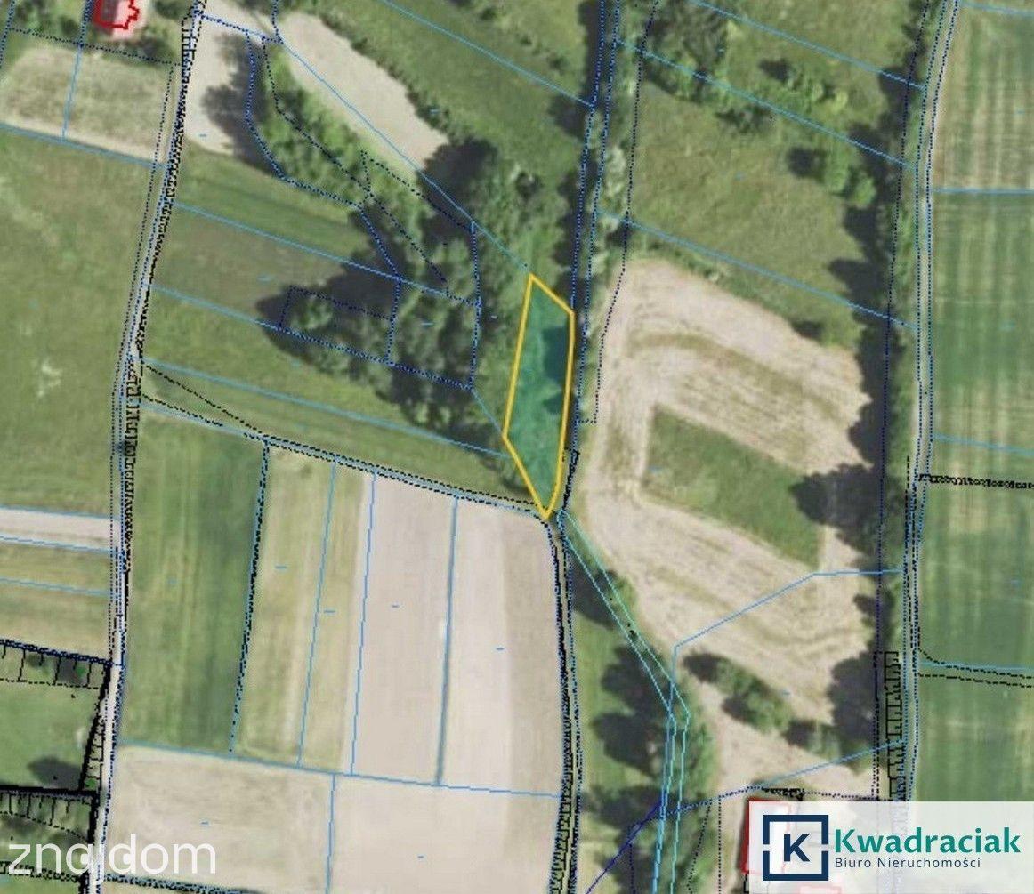 Działki rolne na sprzedaż - Gogołów, gm. Frysztak