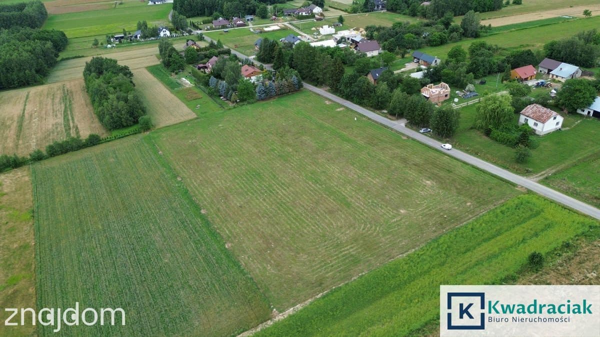 Działki pod zabudowę jednorodzinną - Korczyna - zdjęcie 3