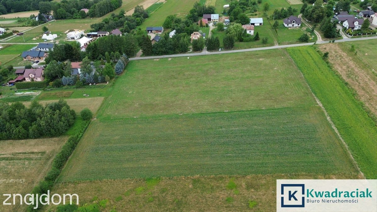 Działki pod zabudowę jednorodzinną - Korczyna - zdjęcie 4