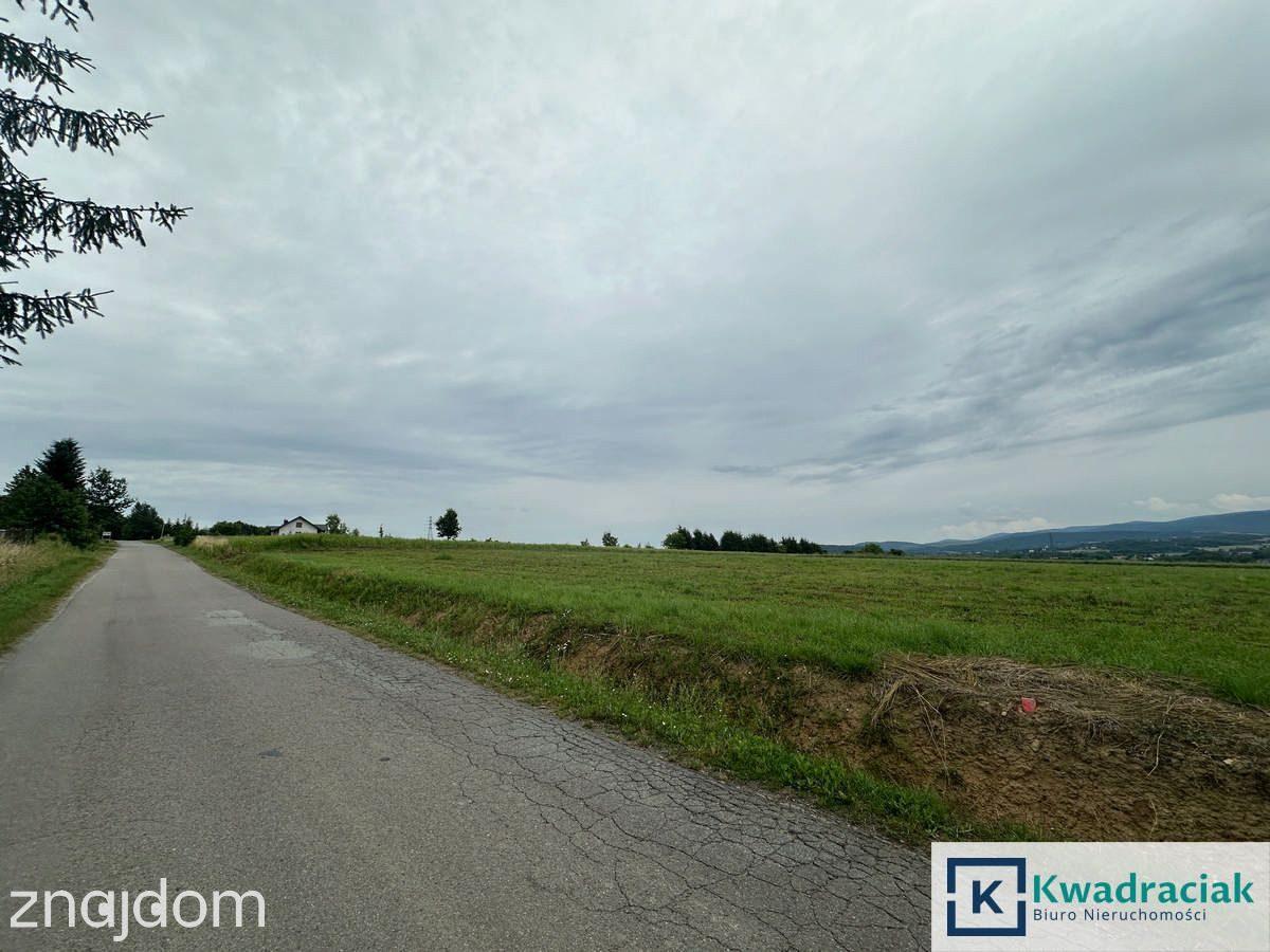 Działki pod zabudowę jednorodzinną - Korczyna - zdjęcie 9