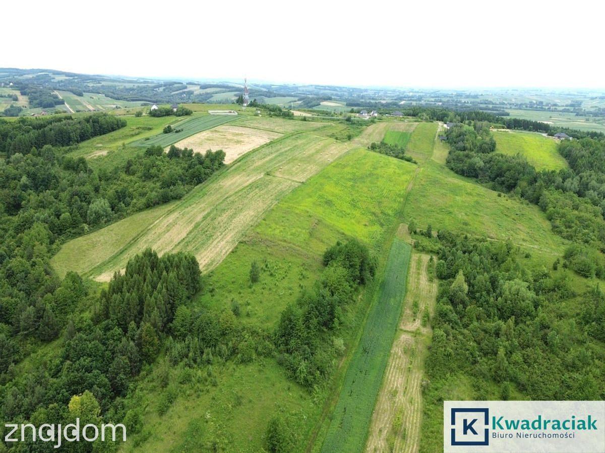Duża działka 1,35 ha pod zabudowę jednorodzinną – - zdjęcie 4