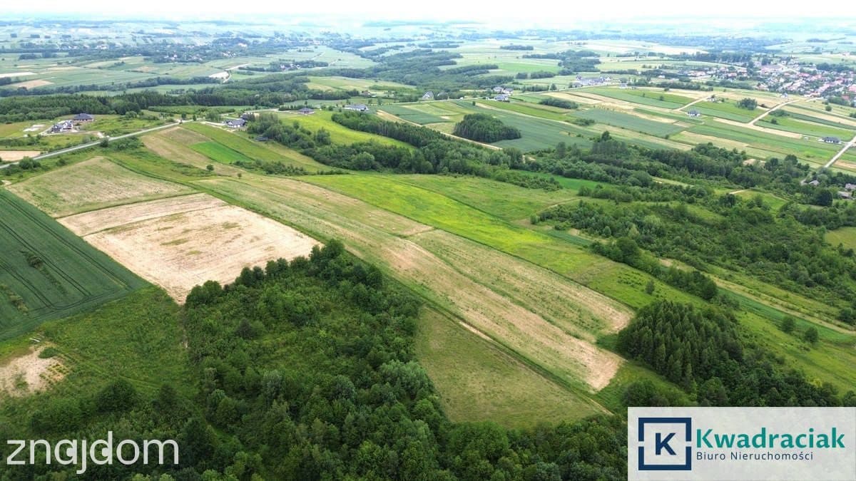 Duża działka 1,35 ha pod zabudowę jednorodzinną – - zdjęcie 3