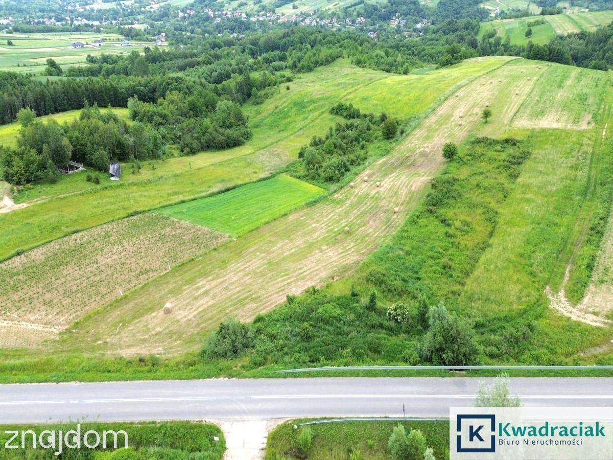 Duża działka 1,35 ha pod zabudowę jednorodzinną – - zdjęcie 7