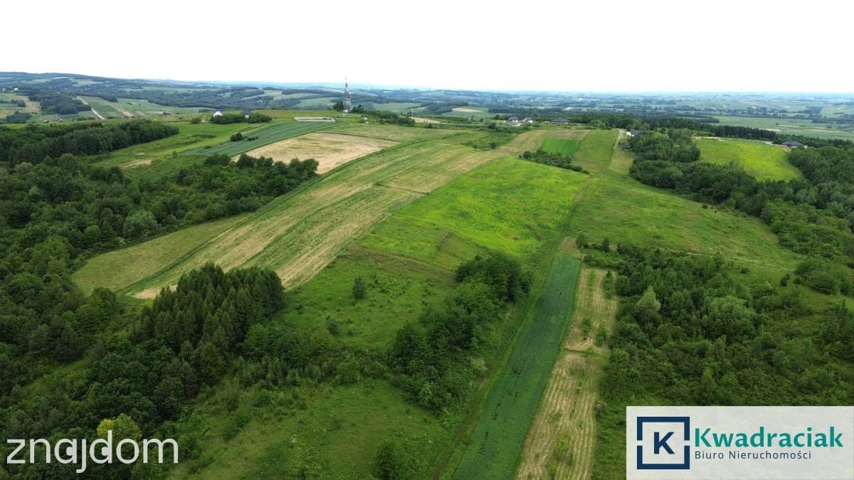 Duża działka 1,35 ha pod zabudowę jednorodzinną – - zdjęcie 8