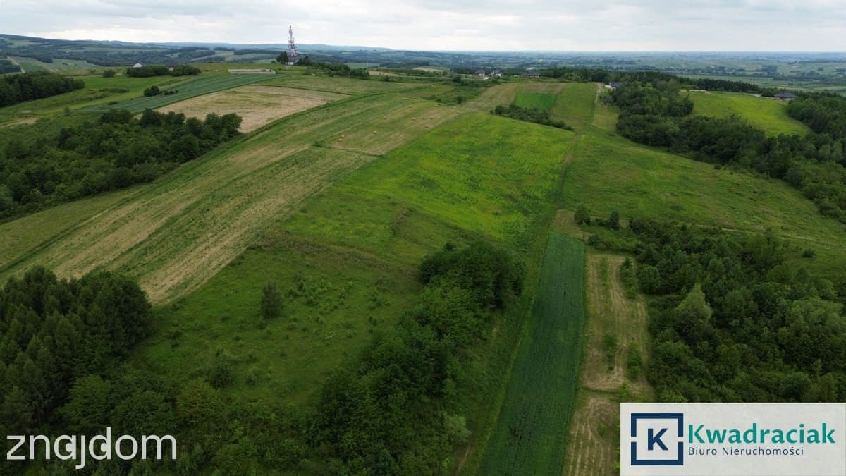 Duża działka 1,35 ha pod zabudowę jednorodzinną – - zdjęcie 9