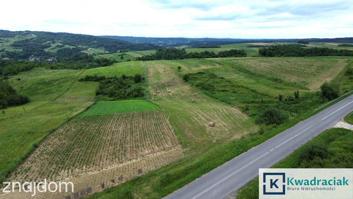 Duża działka 1,35 ha pod zabudowę jednorodzinną – - zdjęcie 10