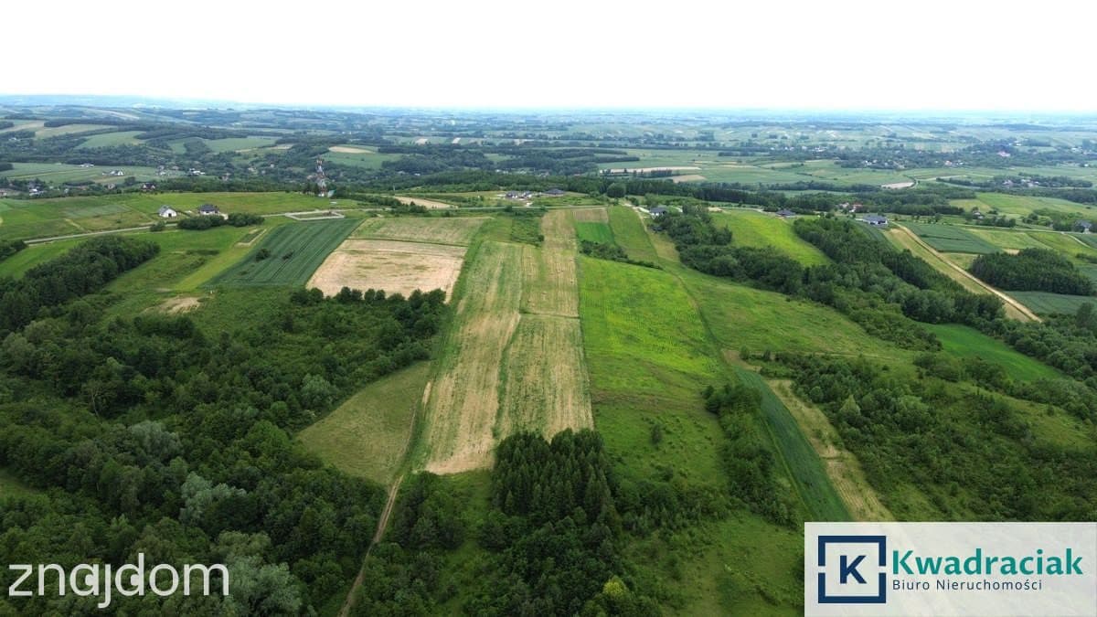 Duża działka 1,35 ha pod zabudowę jednorodzinną – - zdjęcie 11