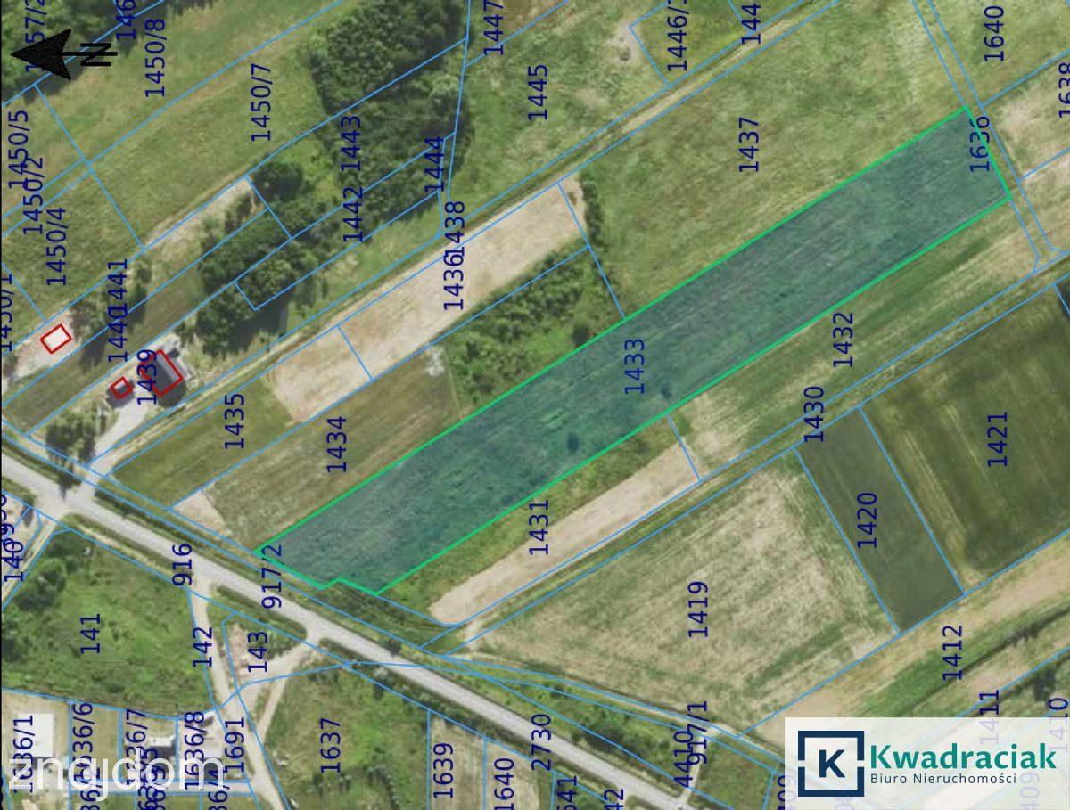 Duża działka 1,35 ha pod zabudowę jednorodzinną – - zdjęcie 5