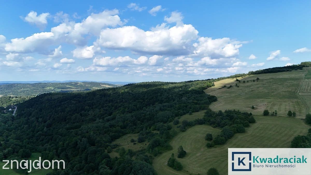 Działki rolno - leśne w urokliwej Iwli - zdjęcie 5