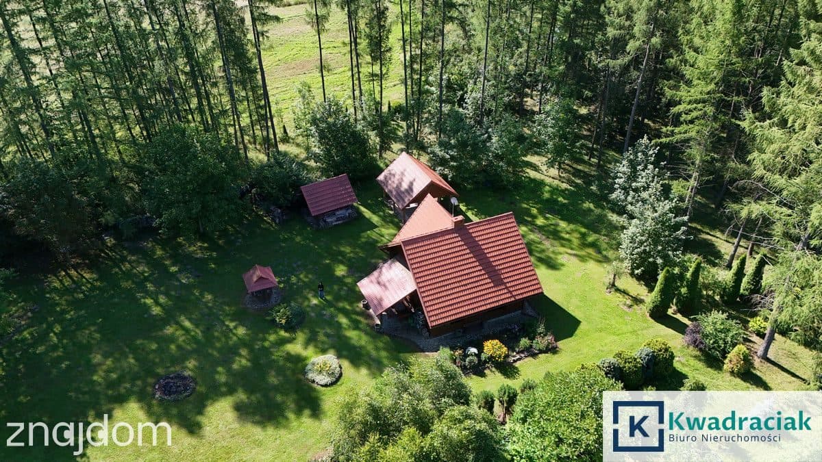 Dom z bali na działce 1,5 ha ze strumykiem - zdjęcie 2