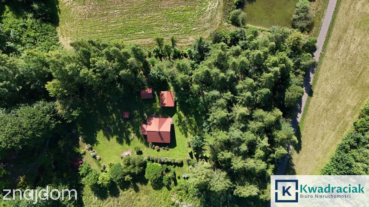 Dom z bali na działce 1,5 ha ze strumykiem - zdjęcie 3