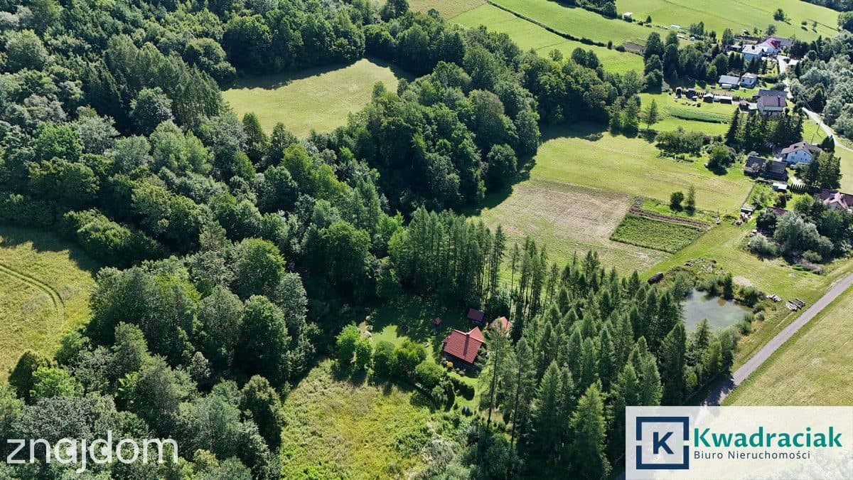 Dom z bali na działce 1,5 ha ze strumykiem - zdjęcie 13