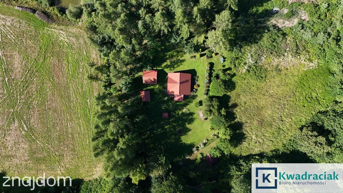 Dom z bali na działce 1,5 ha ze strumykiem - zdjęcie 14