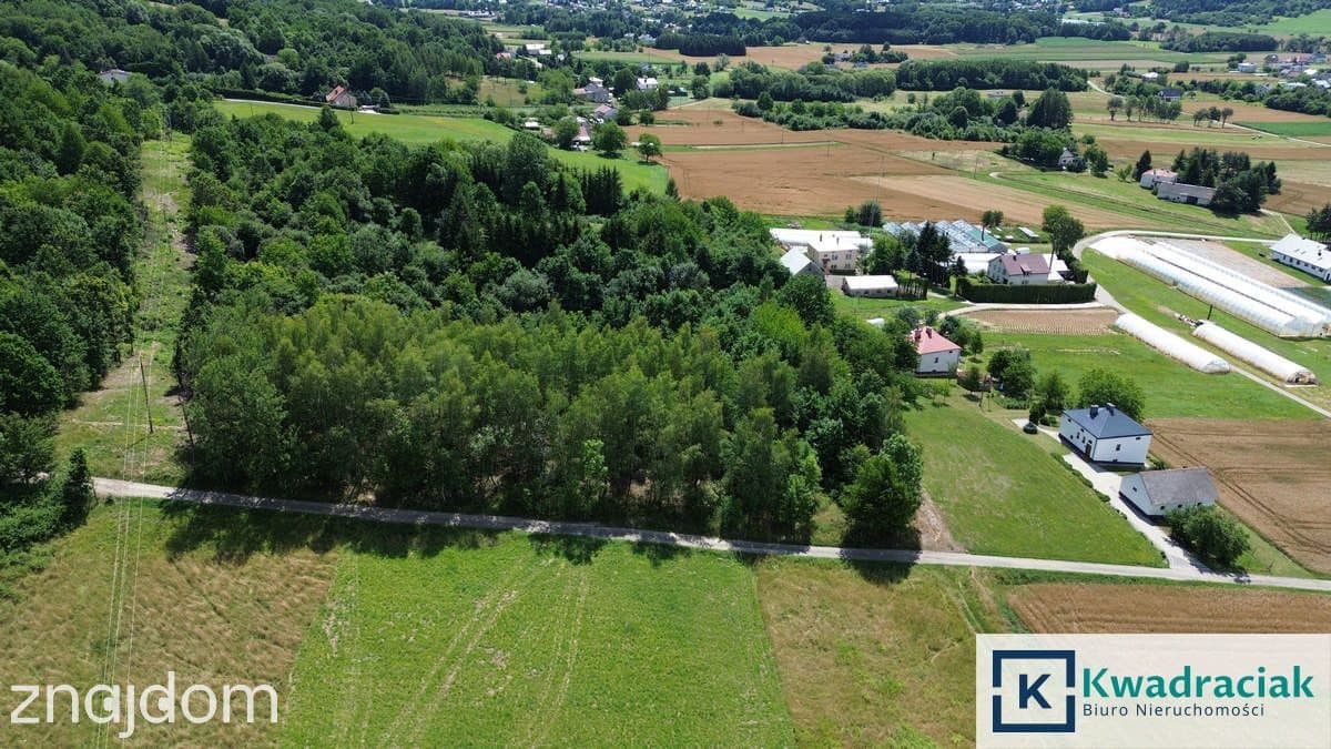 Działka na sprzedaż - Odrzykoń - gm. Wojaszówka - zdjęcie 8