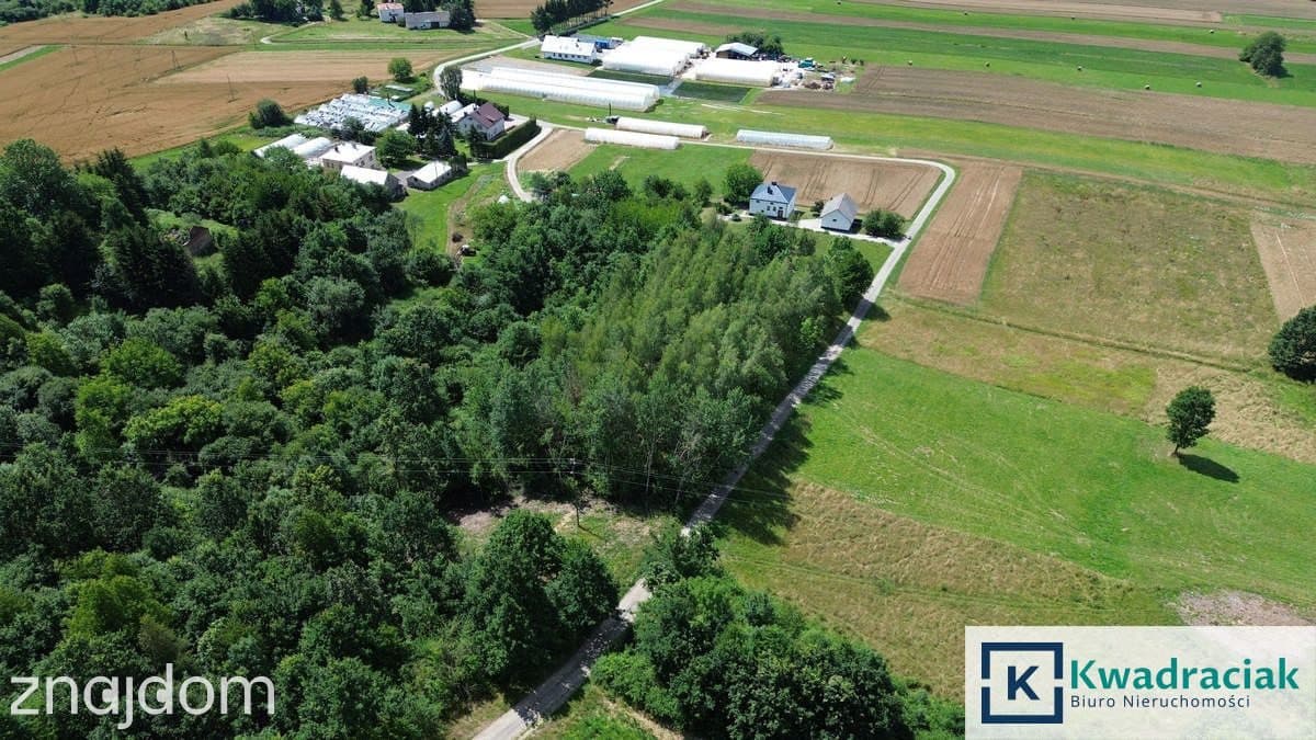 Działka na sprzedaż - Odrzykoń - gm. Wojaszówka - zdjęcie 3