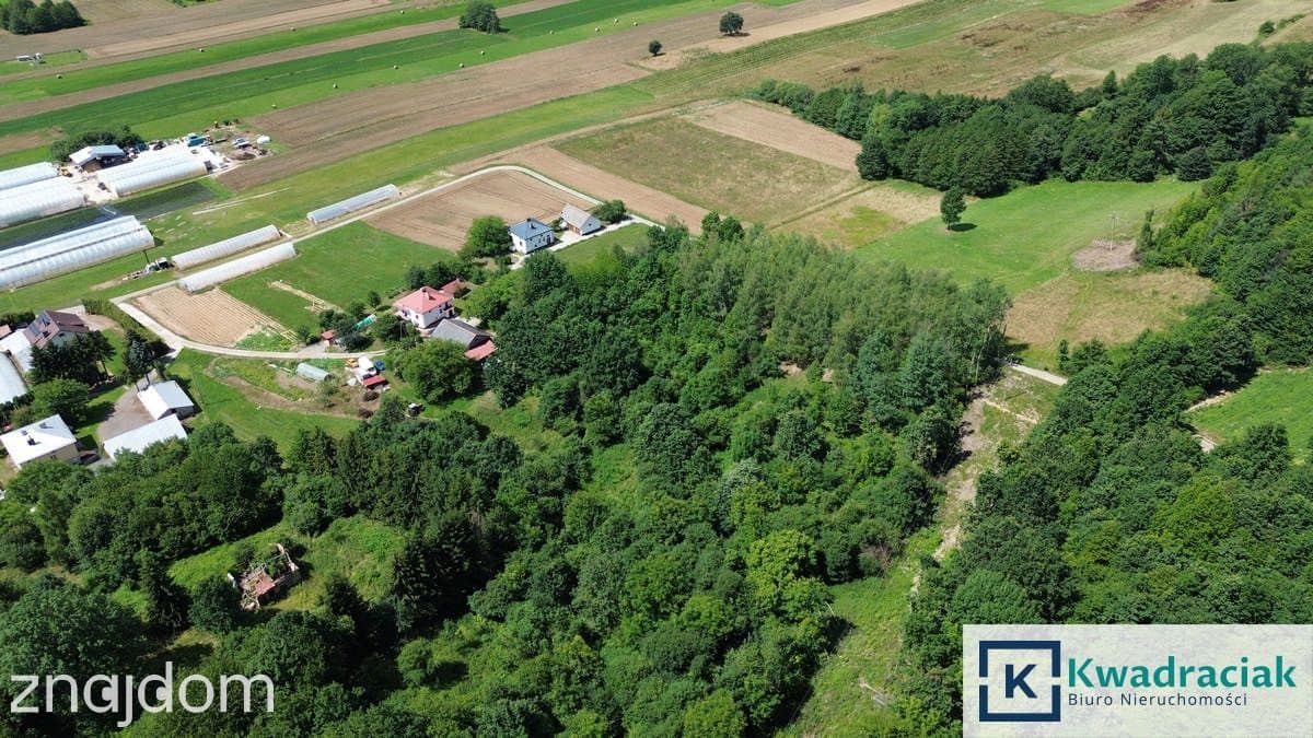 Działka na sprzedaż - Odrzykoń - gm. Wojaszówka - zdjęcie 4