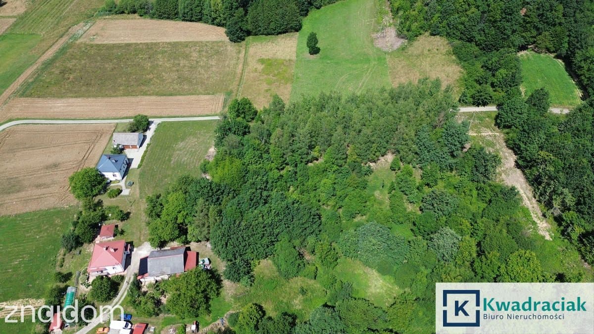 Działka na sprzedaż - Odrzykoń - gm. Wojaszówka - zdjęcie 5