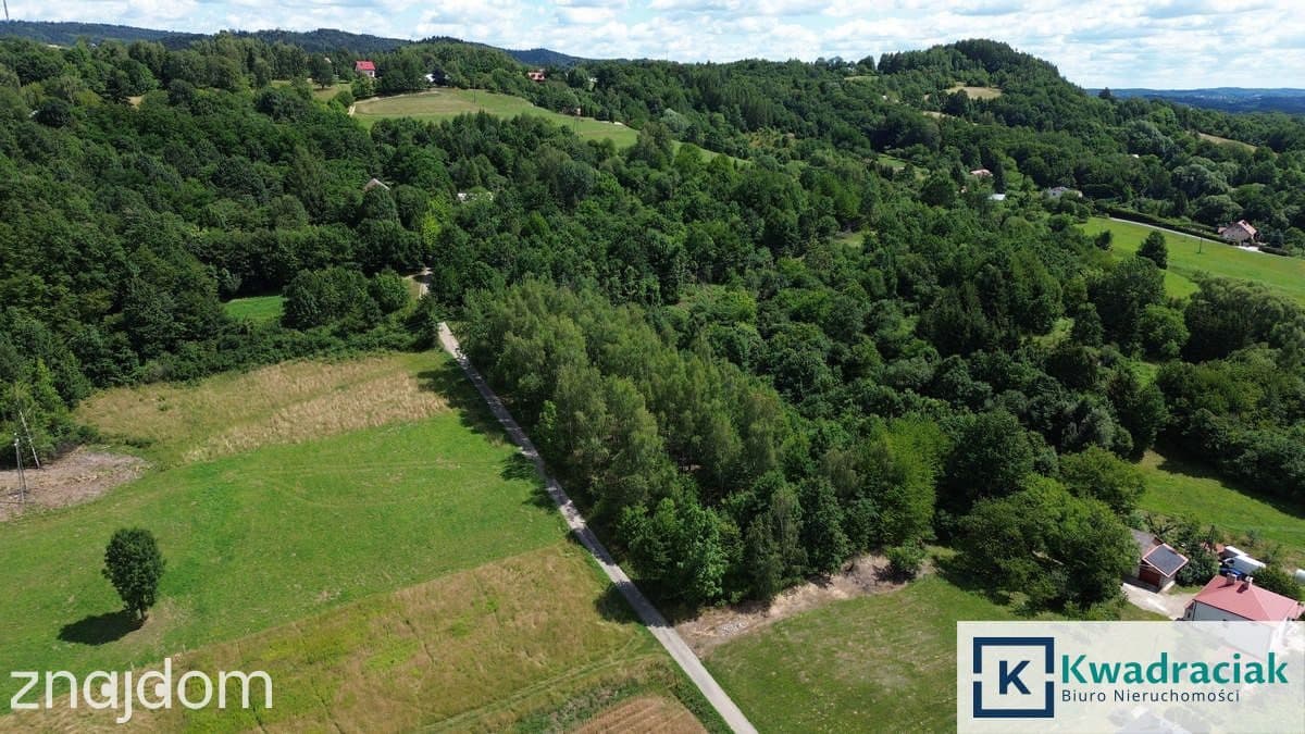 Działka na sprzedaż - Odrzykoń - gm. Wojaszówka - zdjęcie 2