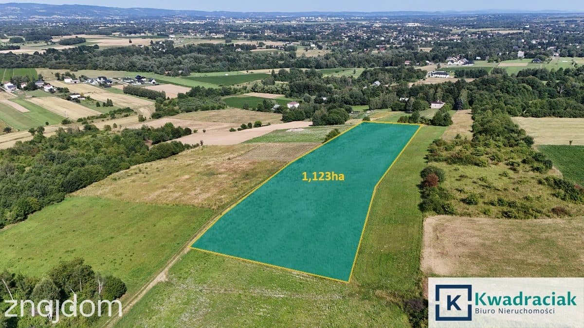 Zręcin - 1,123ha z warunkami zabudowy - zdjęcie 3