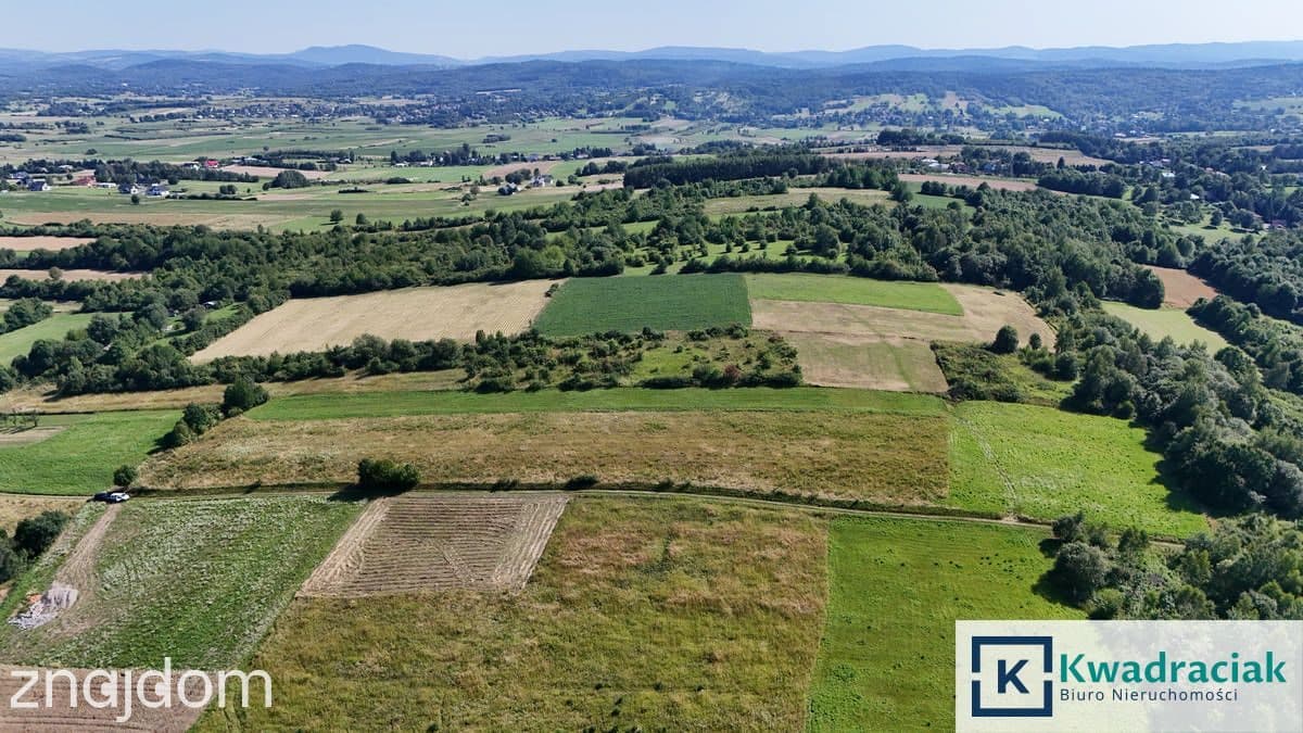 Zręcin - 1,123ha z warunkami zabudowy - zdjęcie 6