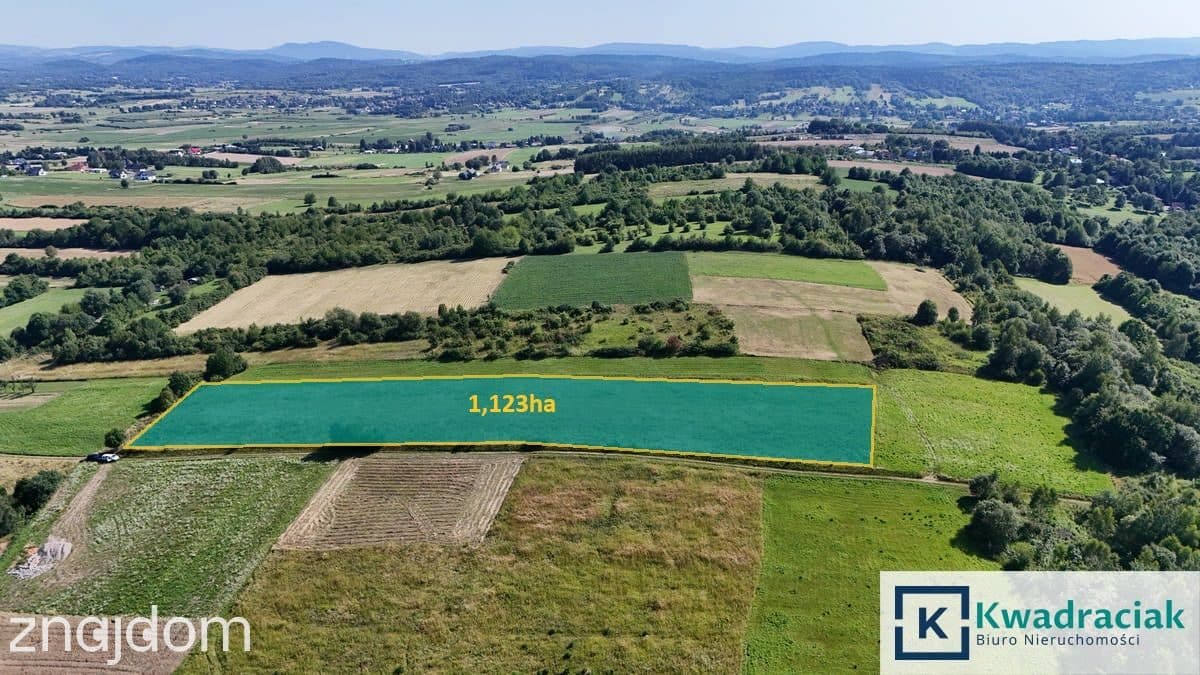 Zręcin - 1,123ha z warunkami zabudowy - zdjęcie 5