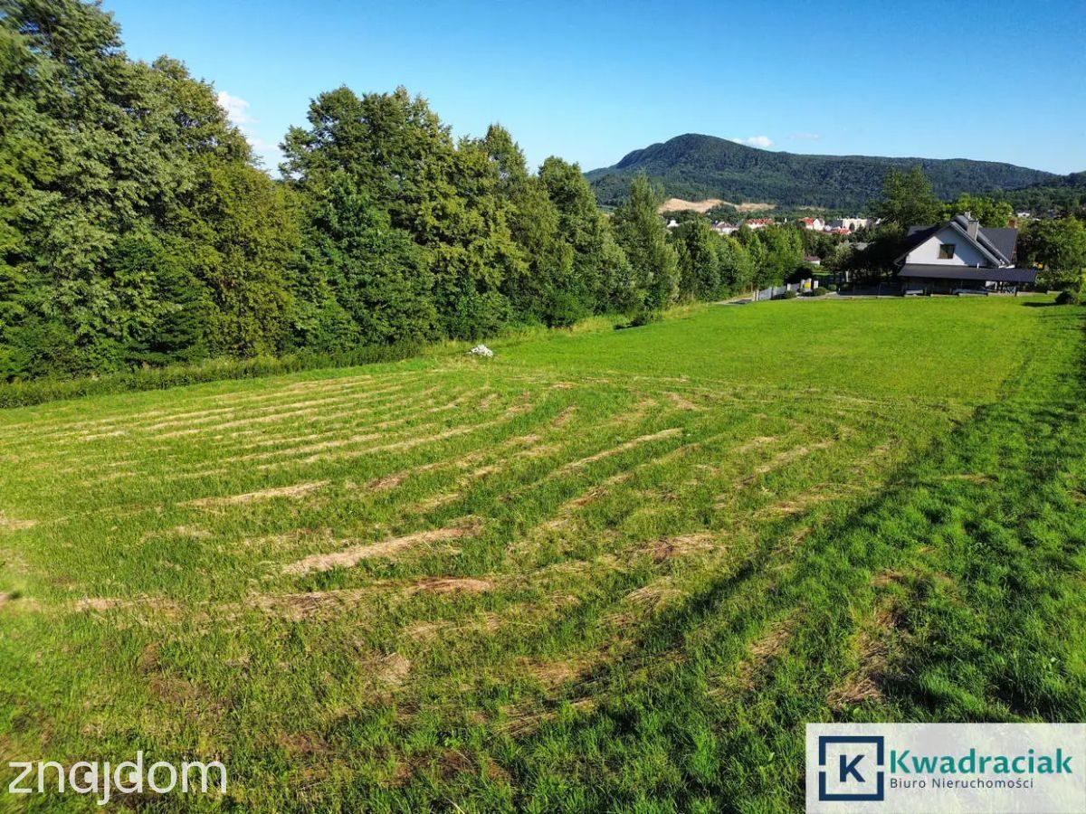 Widokowa działka z panoramą na górę Cergową - zdjęcie 4