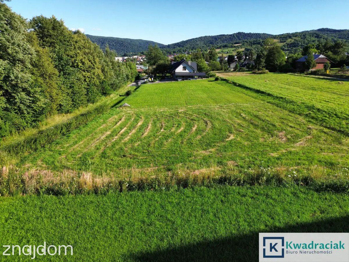 Widokowa działka z panoramą na górę Cergową - zdjęcie 5
