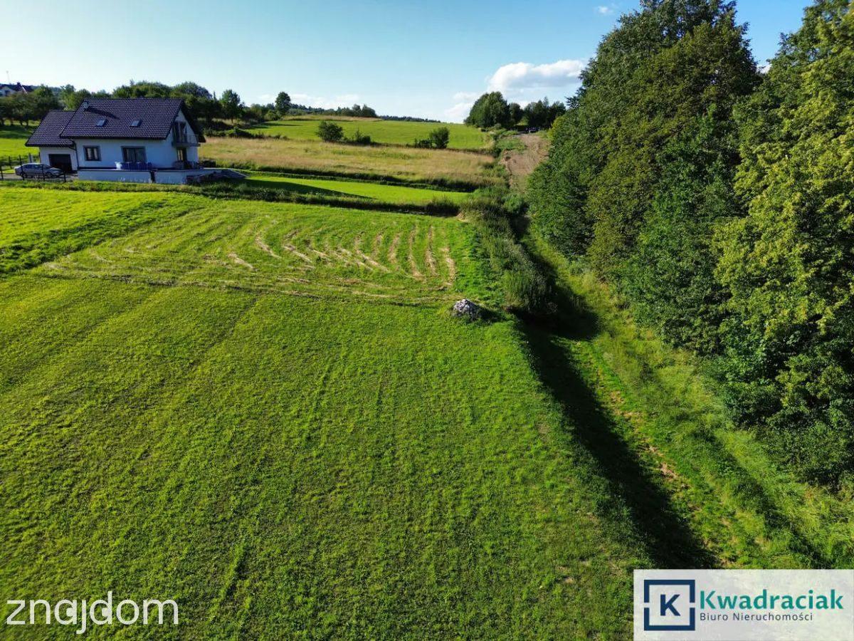 Widokowa działka z panoramą na górę Cergową - zdjęcie 9