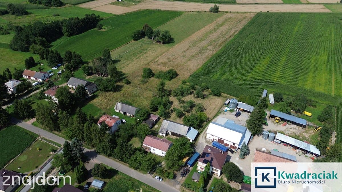 Gospodarstwo na sprzedaż - Jaszczew - Jedlicze - zdjęcie 7