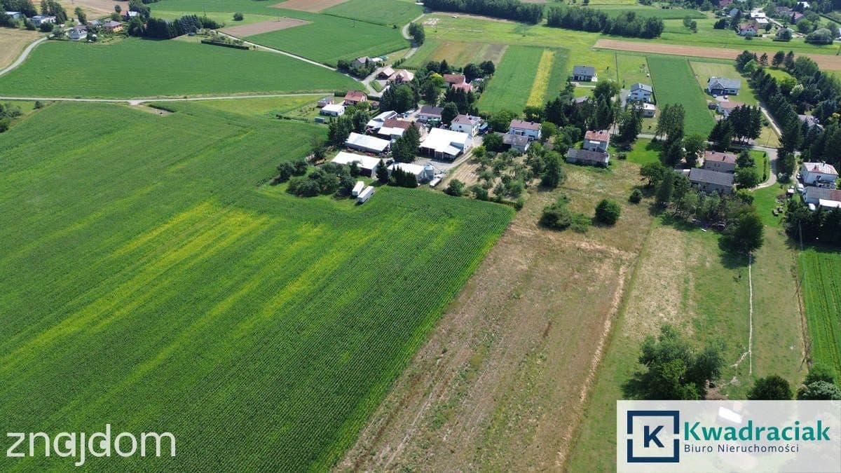 Gospodarstwo na sprzedaż - Jaszczew - Jedlicze - zdjęcie 8
