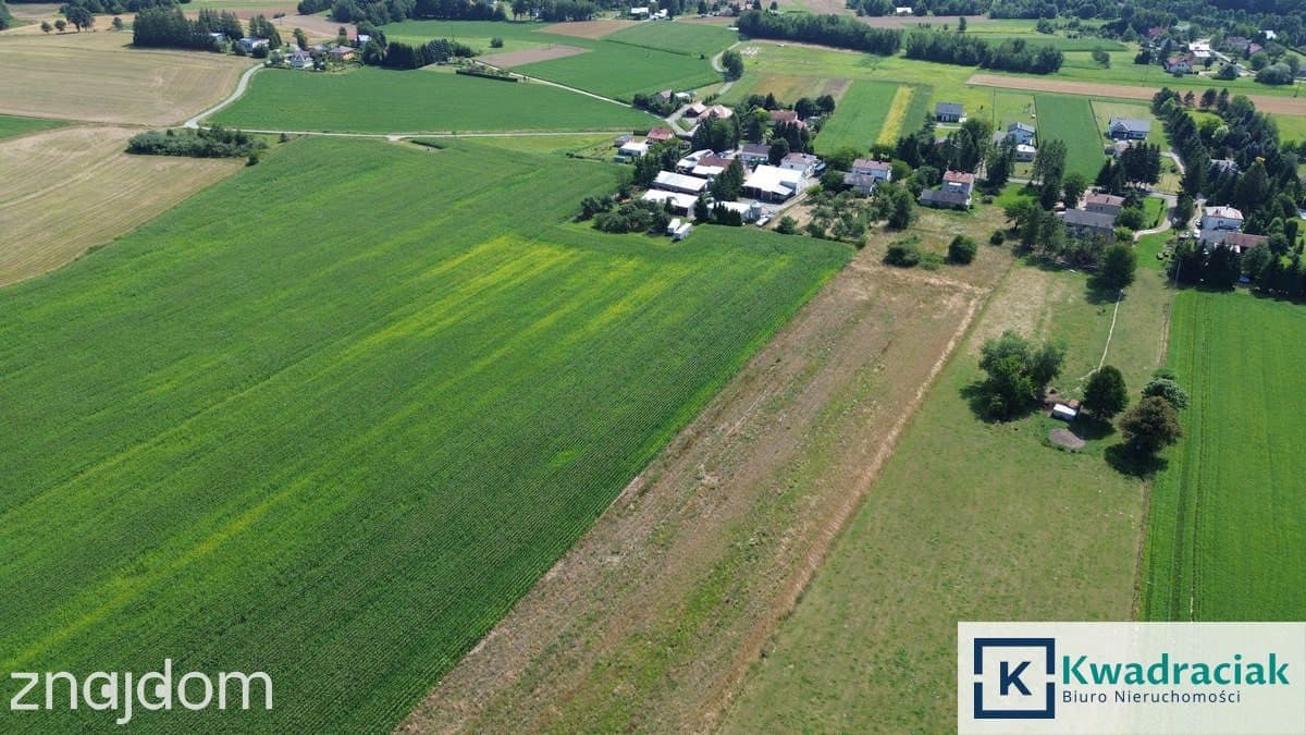 Gospodarstwo na sprzedaż - Jaszczew - Jedlicze - zdjęcie 9