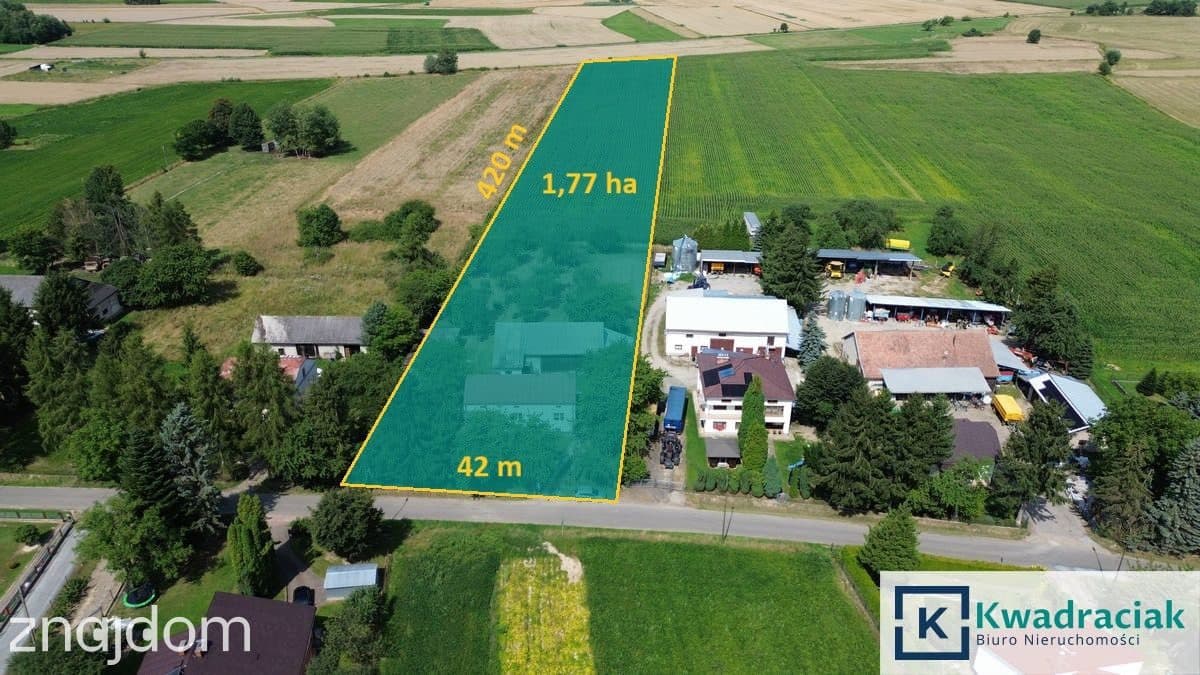 Gospodarstwo na sprzedaż - Jaszczew - Jedlicze