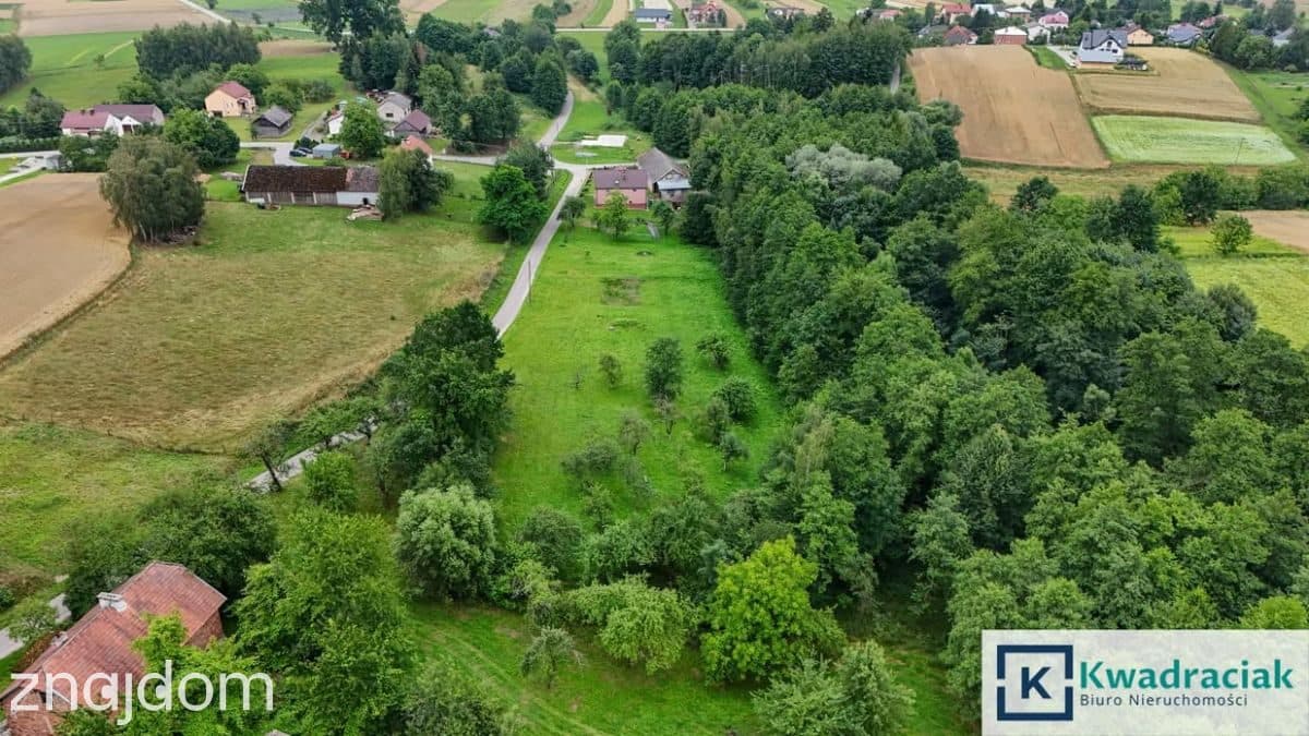 Bierówka – 27 ar z WZ i mediami na działce - zdjęcie 6