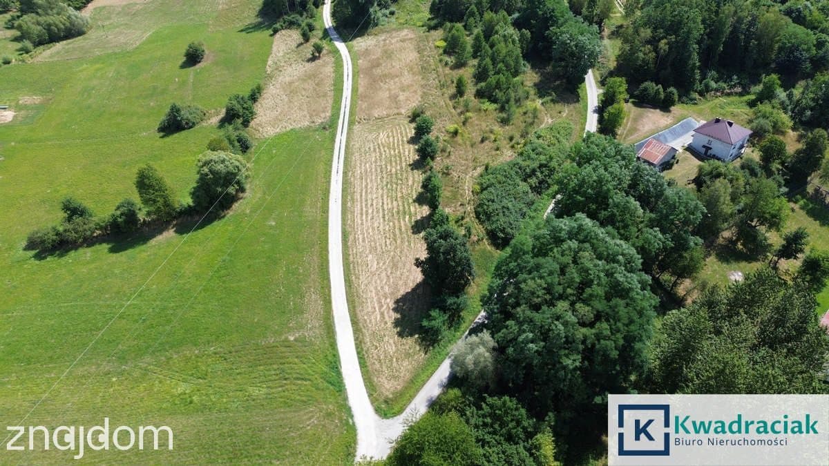 Działka na sprzedaż - Nowy Borek - Błażowa - zdjęcie 3