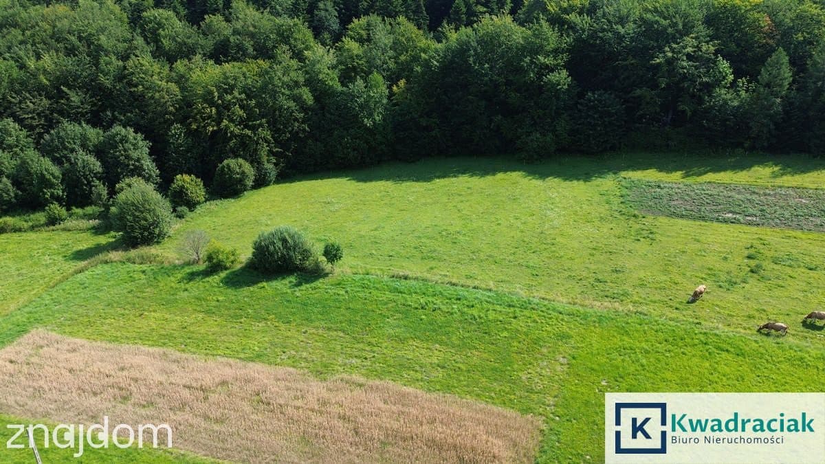 Kompleks działek na sprzedaż - Łęki Dukielskie - zdjęcie 6