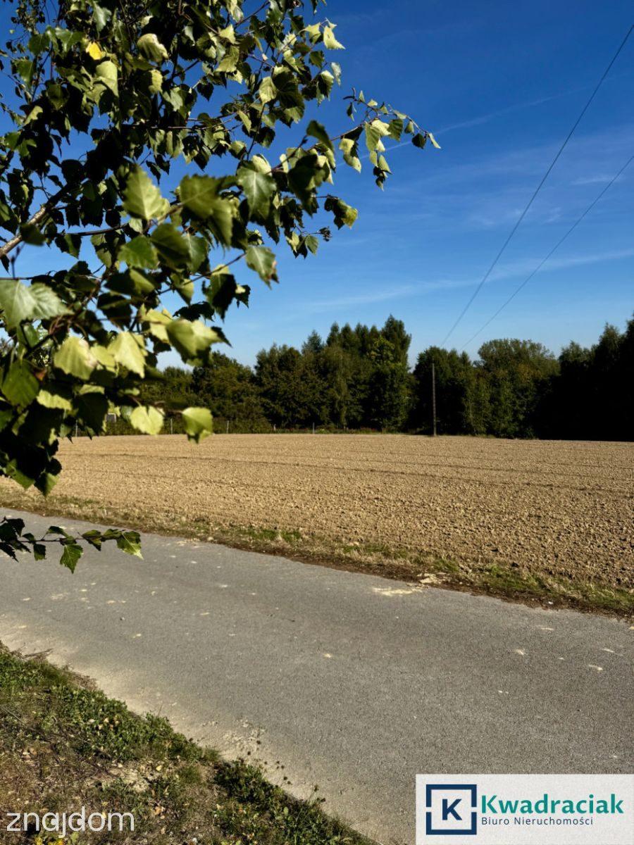 Cierpisz – działka 30 arów z WZ i projektem domu - zdjęcie 4