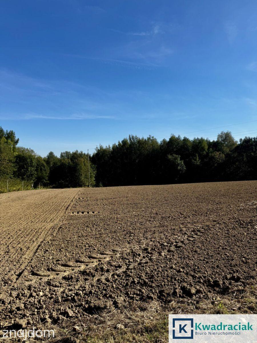 Cierpisz – działka 30 arów z WZ i projektem domu - zdjęcie 5