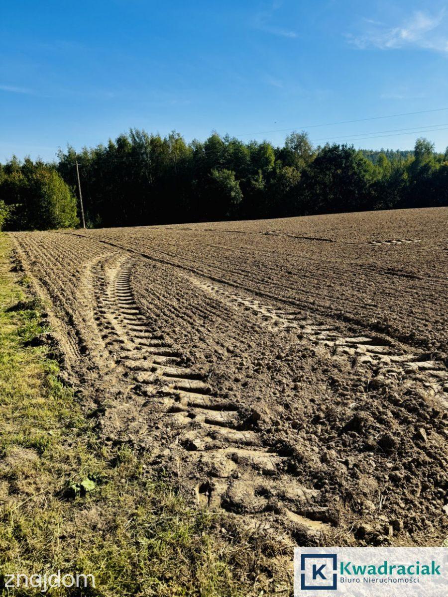 Cierpisz – działka 30 arów z WZ i projektem domu - zdjęcie 6