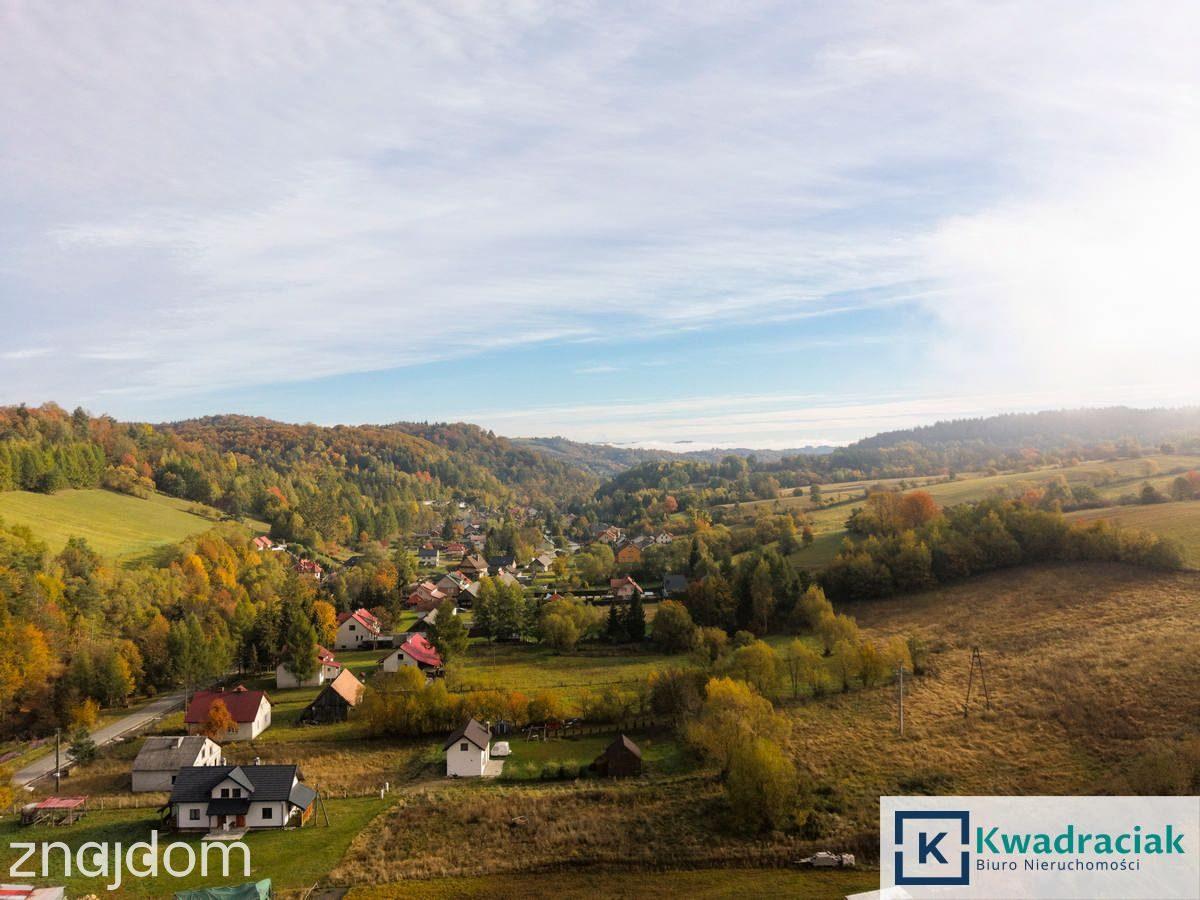 Siedlisko w Bieszczadach