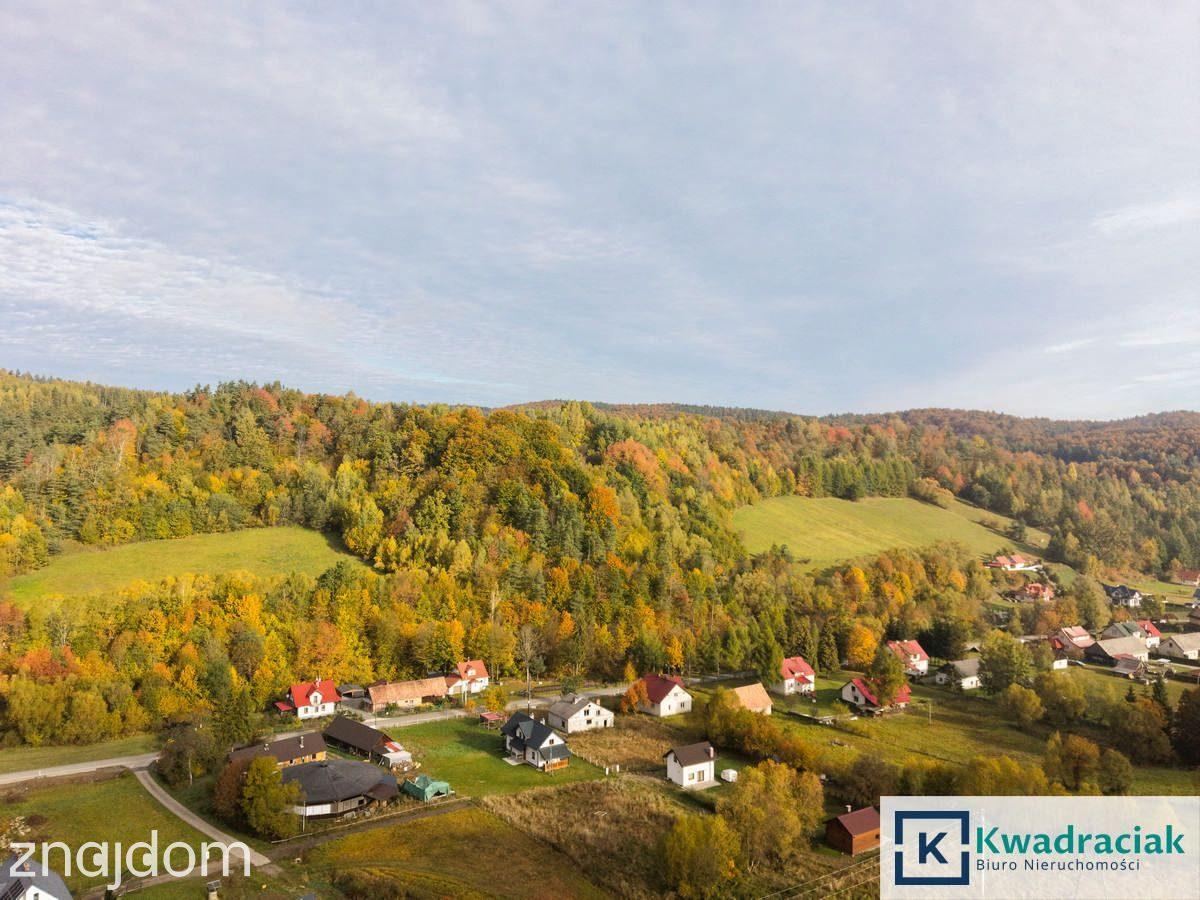 Siedlisko w Bieszczadach - zdjęcie 19