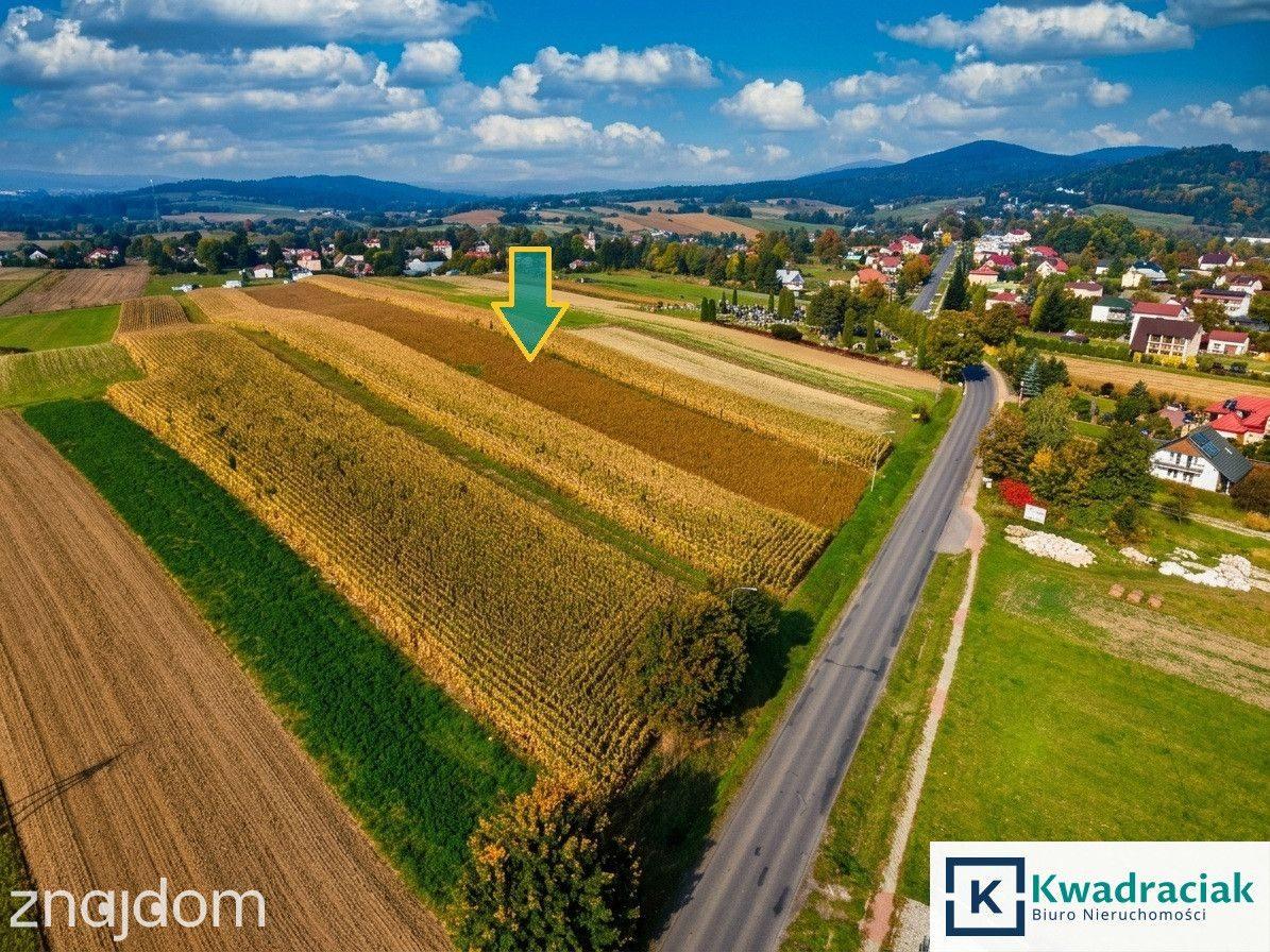 Kompleks działek pod zabudowę z WZ – Trepcza - zdjęcie 2