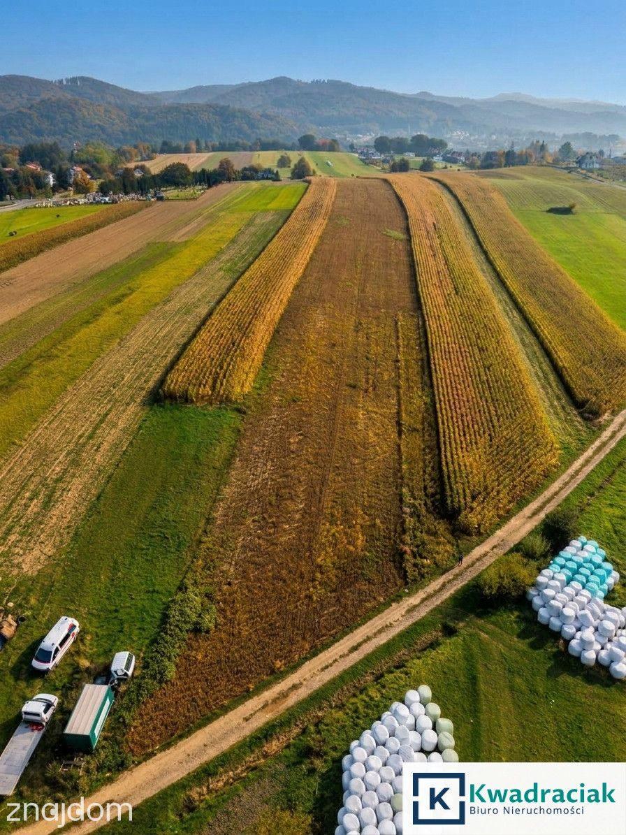 Kompleks działek pod zabudowę z WZ – Trepcza - zdjęcie 4