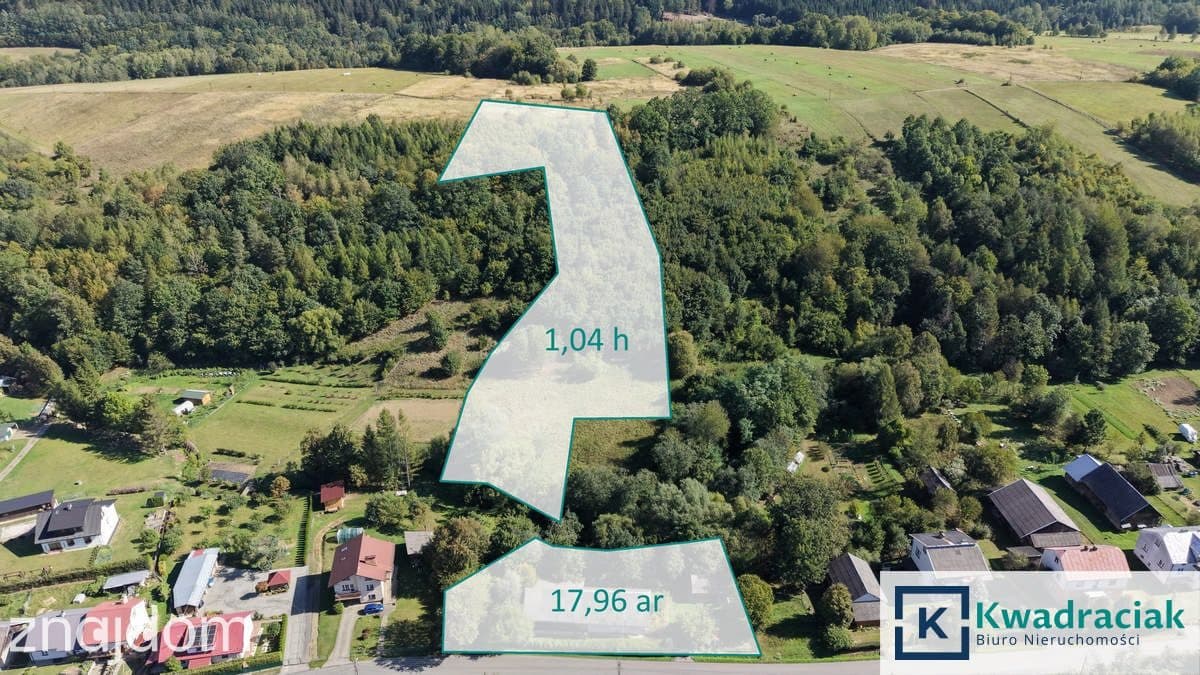 Dom z działką 17a, Krzywe, gm. Dydnia - zdjęcie 12