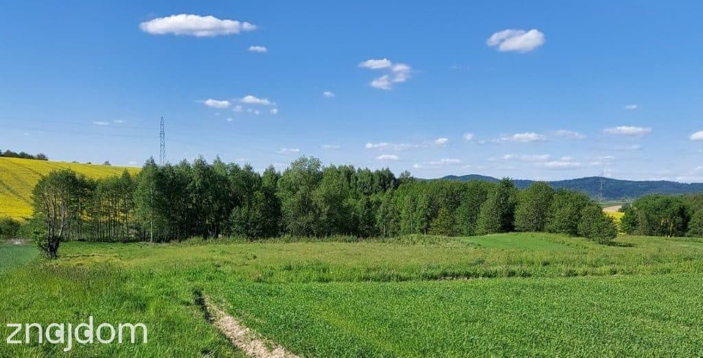 Chrząstówka – działka 28,52ar - zdjęcie 3