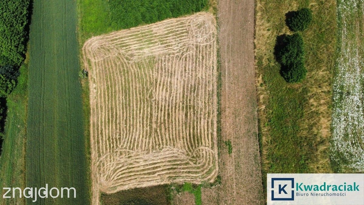 Chrząstówka – działka 28,52ar - zdjęcie 6