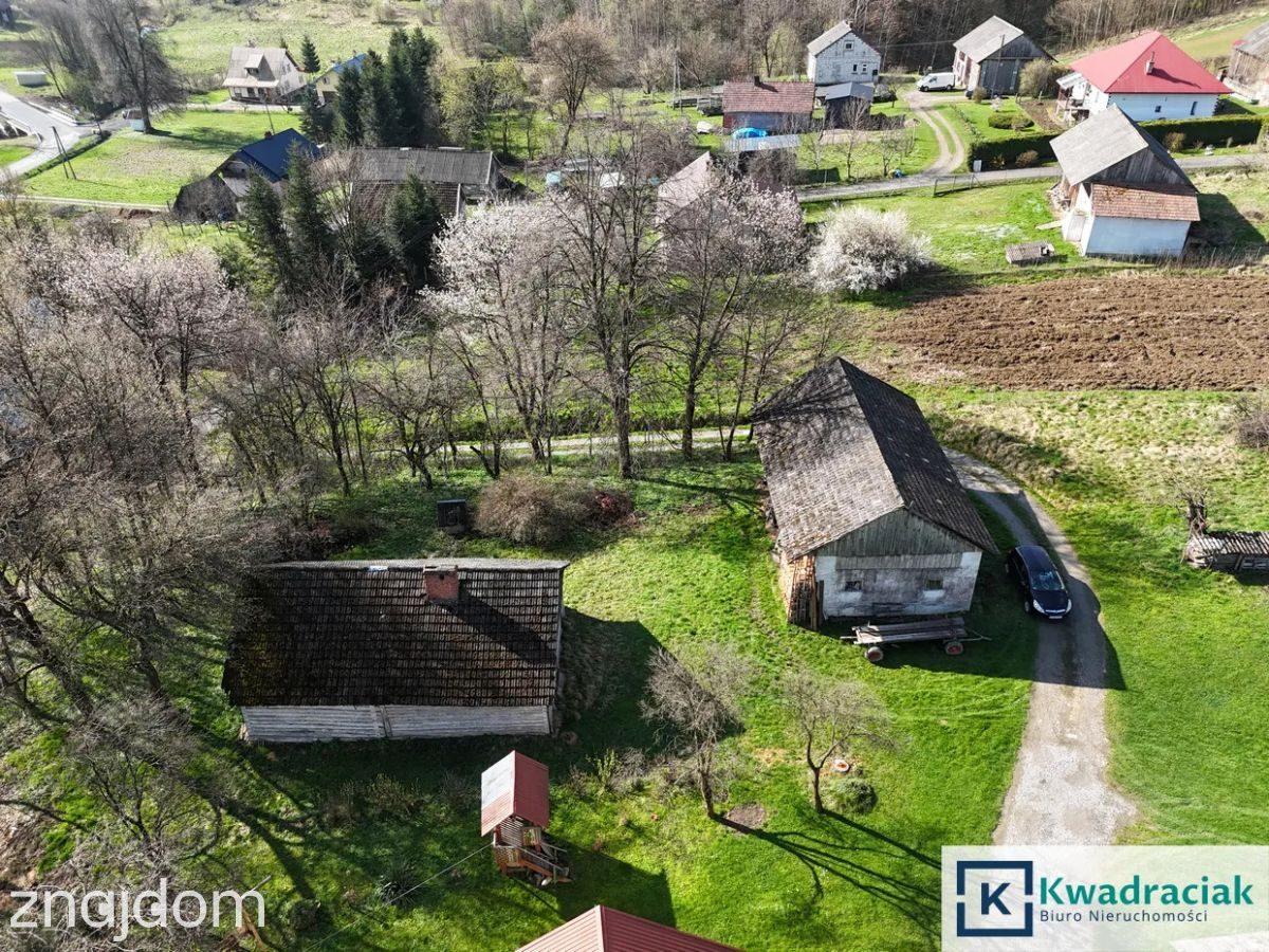 Śliwnica, gm. Dubiecko – siedlisko z własnym lasem - zdjęcie 6