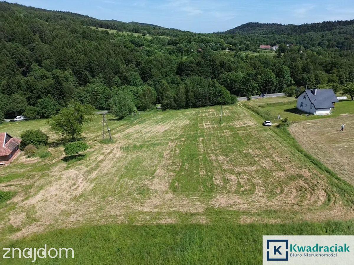 Działki z warunkami zabudowy w Czarnorzekach - zdjęcie 2