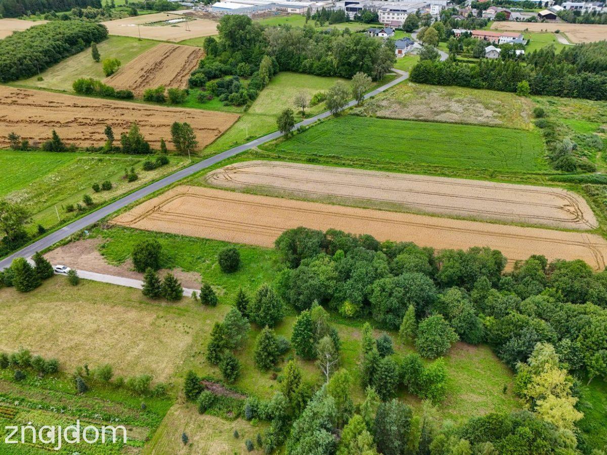 Działka budowlana 10ar w Rymanowie - zdjęcie 15